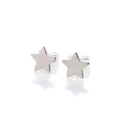 Puces Etoiles